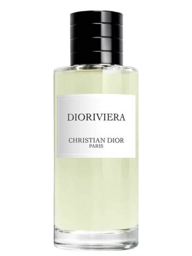 dioriviera perfume buy online